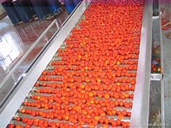 番茄检果机