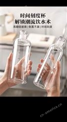 批发定制高硼硅玻璃瓶带刻度的水杯酒瓶泡酒瓶精致美观大气
